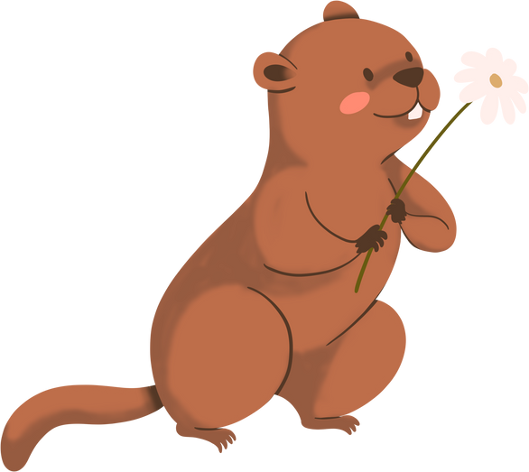 Spring Groundhog Illustration